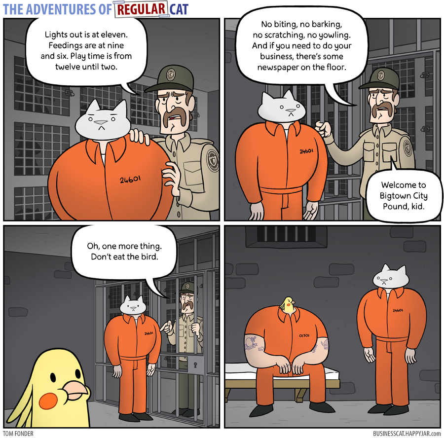 The Adventures of Regular Cat - Jailbird