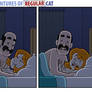The Adventures of Regular Cat - Voyeur