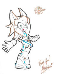 .::Sonar the Hedgehog::.