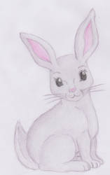 rabbit