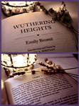 Wuthering Heights by BonnieLeeman