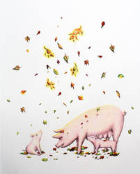 Autumn Pigs