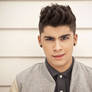 Zayn Malik HD Print