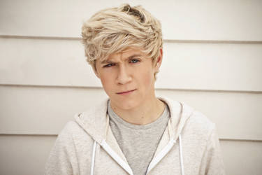 Niall Horan HD Print