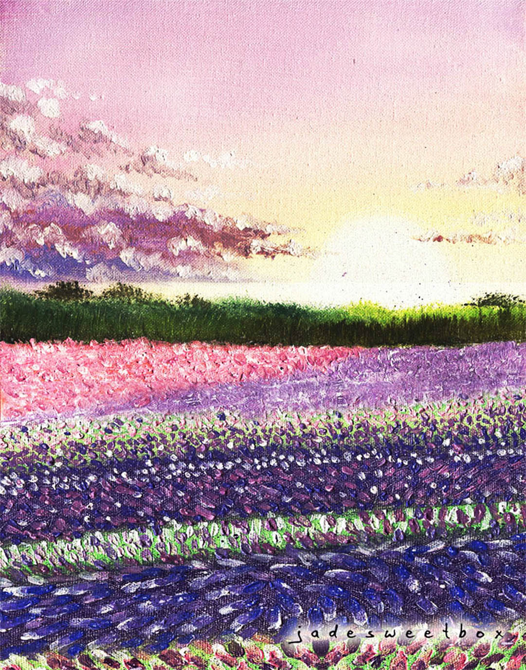 Fields of Lilac