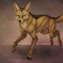 Golden Jackal