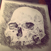 Skull