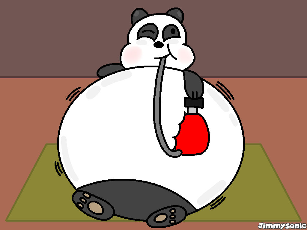 Red Panda Inflation (RQ) Panda Puffs-Up! by JimmySonic on DeviantArt