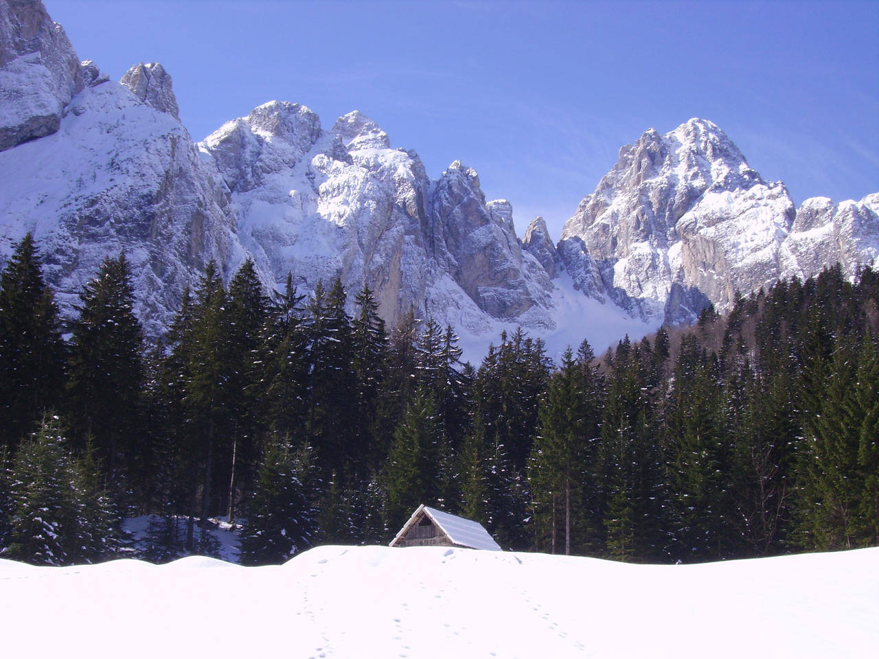 Bianco rifugio