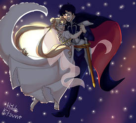 Sailor moon: princess Serenity and Prince Endymion