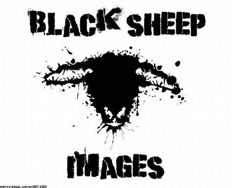 Black Sheep Images