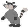 Raccoon