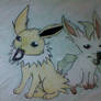 Leafeon Jolteon da contest pic