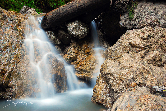 Wild Romania