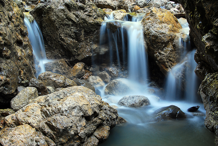 Wild Romania 2