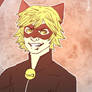 Chat Noir