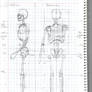 Practice Human Skeleton Side