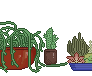 welcome to my private garden
