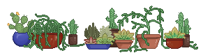 succulents