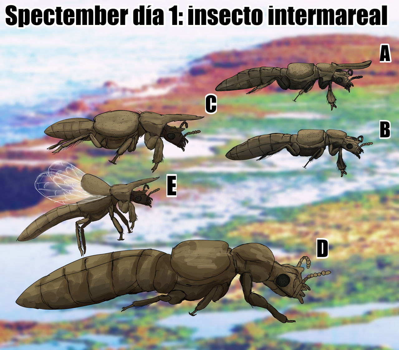 Titidal Insect Spectember D1: Intertidal insect by pinguino77epico on DeviantArt
