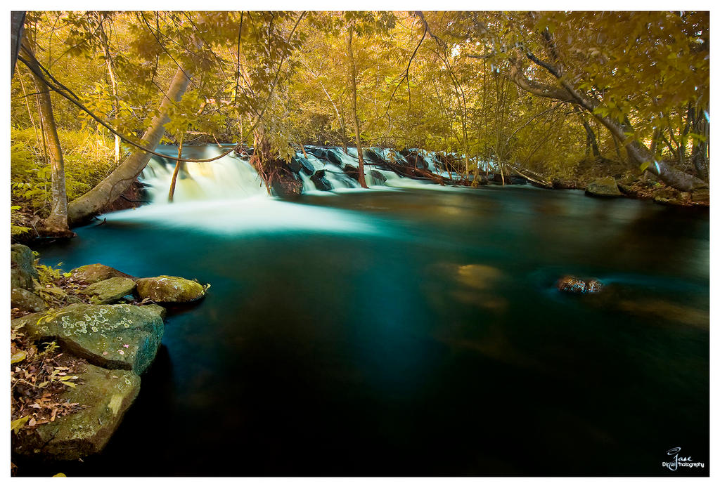 The Forest Pool