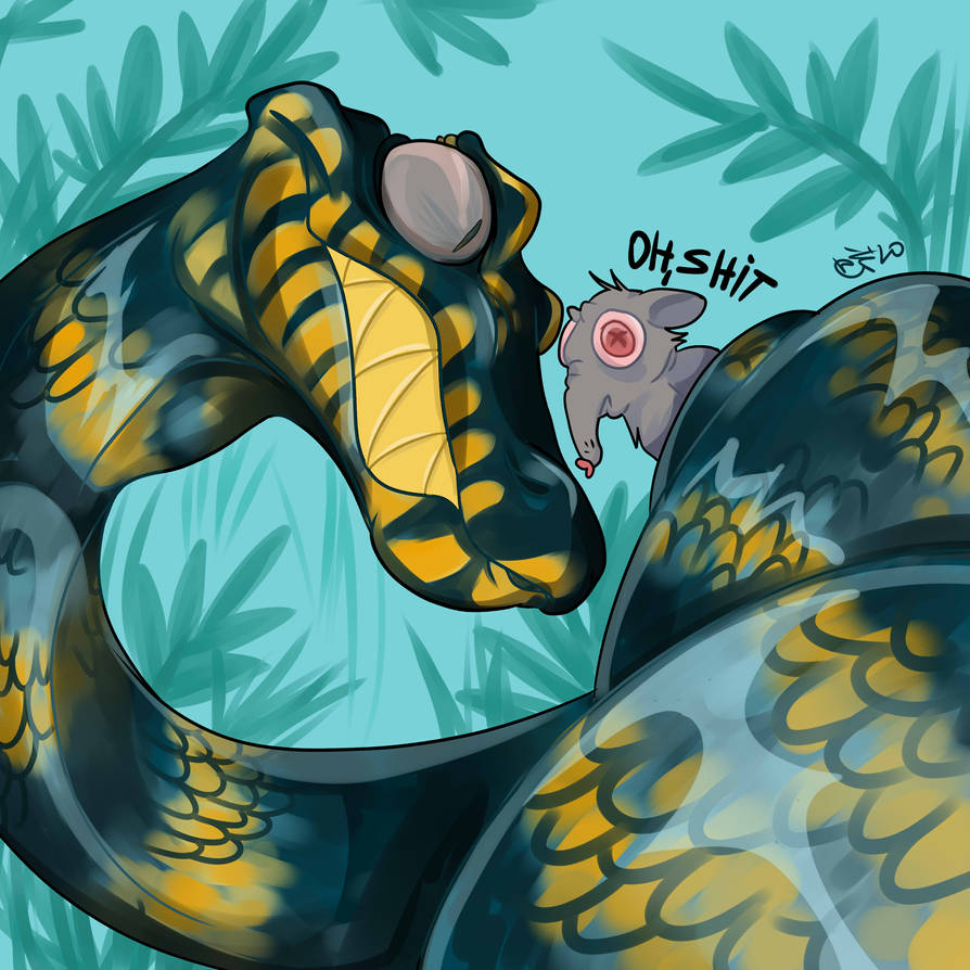 Deviantart Rita The Snake Snake by dif27 on DeviantArt
