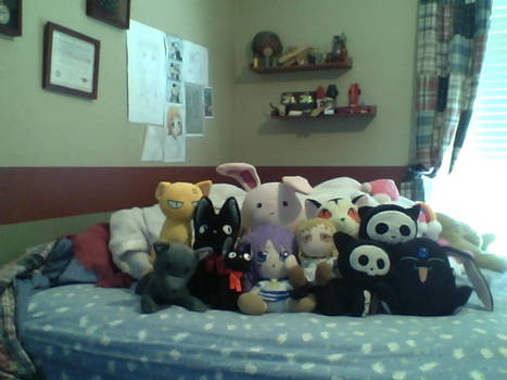 Plush Collection UpDated