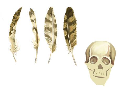 Feather Practice