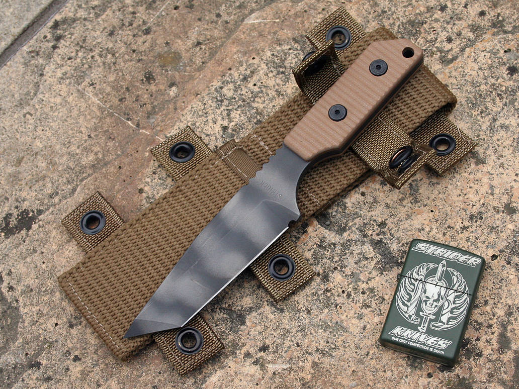 Strider DB-L NSN by HaVoCMaN on DeviantArt