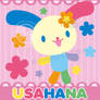 USAHANA the Colorful Bunny Girl