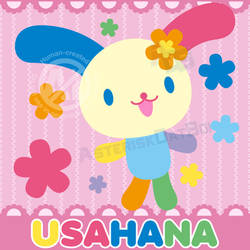USAHANA the Colorful Bunny Girl