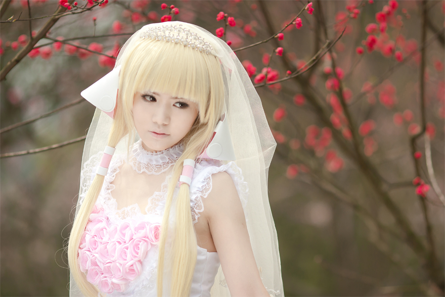 Chii Bride Chobits