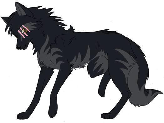 Rp Wolf Pup by RosesThornyStorm on DeviantArt