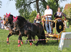 archery on celtic cart