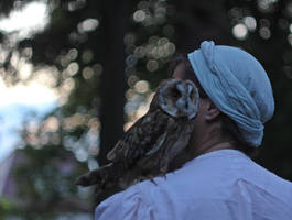 bubbles and a little owl