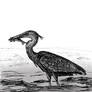 A Heron and a Fish
