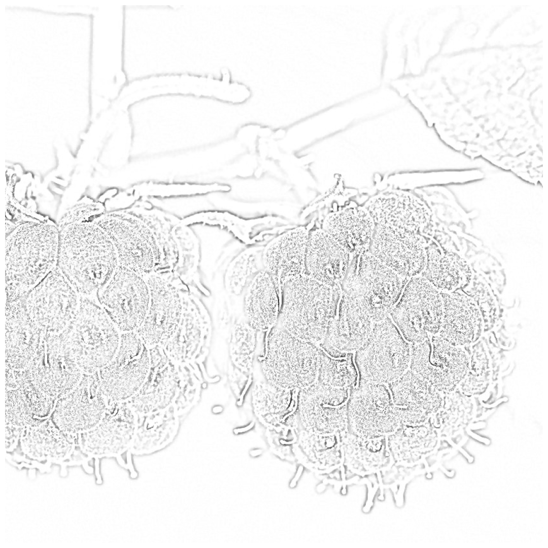 Face Raspberry Coloring Page Raspberry coloring page by MimiPandaColoring on DeviantArt