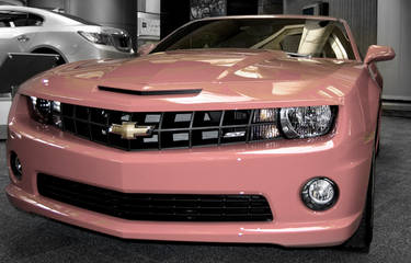 Pink Camaro SS?