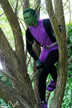 Beast Boy Cosplay 2013