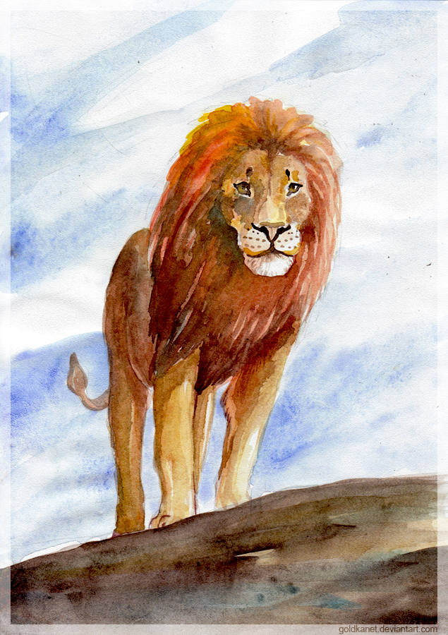 Lion