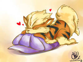 Arcanine  playtime