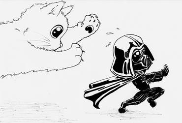 Darth Vadar vs Kitty