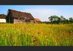Ukraine by wDecay