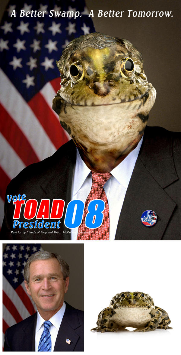 Toad For President 2008 by McCullough on DeviantArt