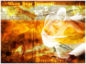White Rose Immortal