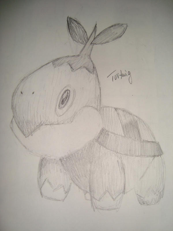 PKMN : Turtwig