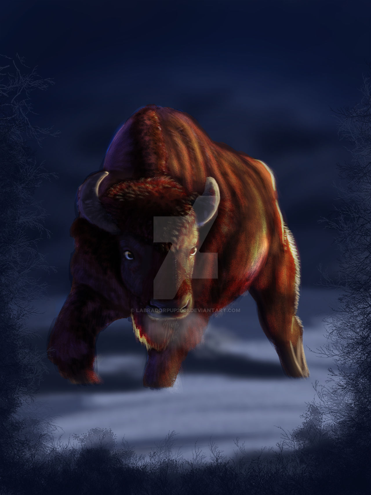 Buffalo lighting practice by labradorpup2001 on DeviantArt