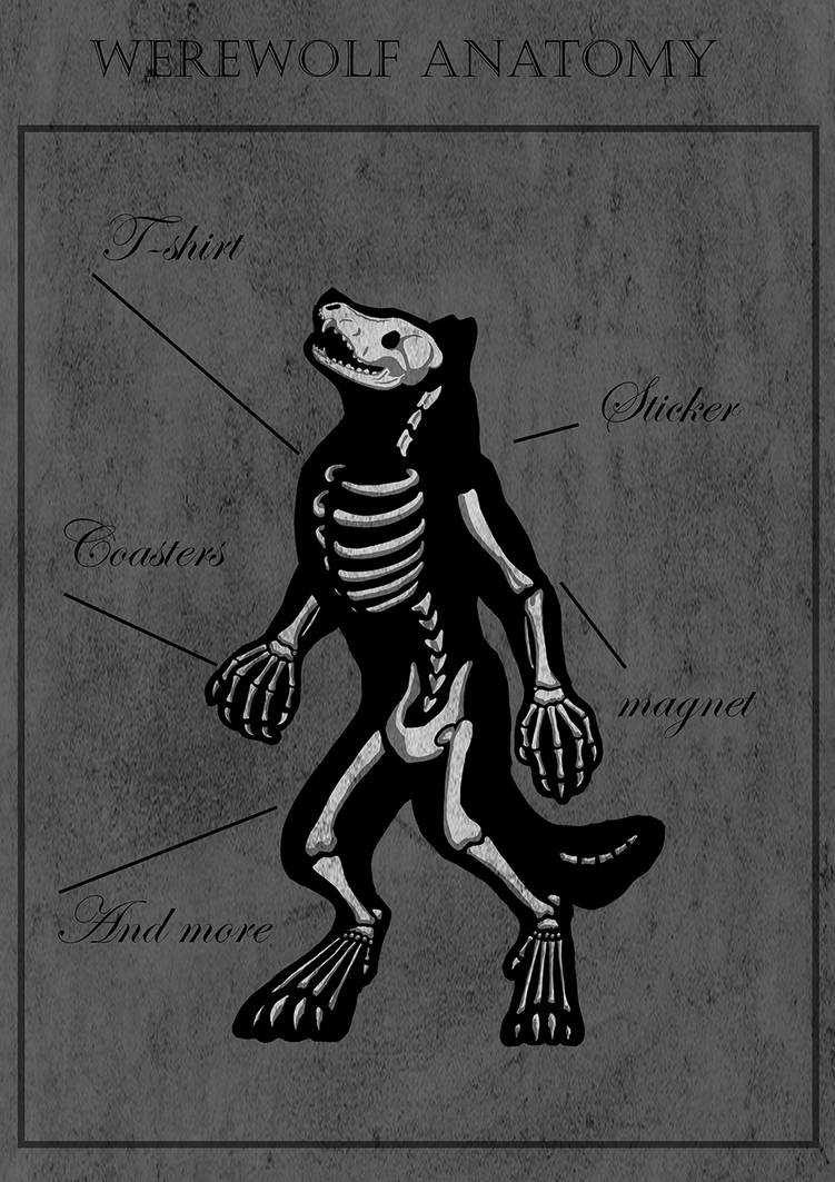 Werewolf Rectnum Werewolf Anatomy by labradorpup2001 on DeviantArt