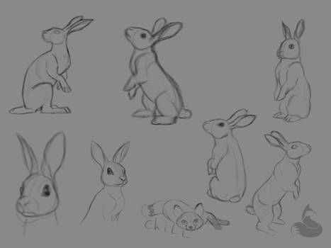 Rabbit Sketches