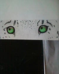 Bookmark 'Snowleopard Eyes'